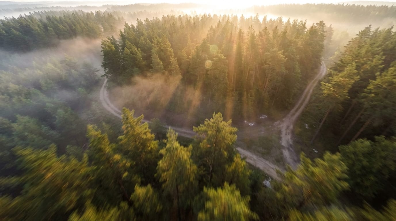 A fast-paced drone shot flying over a dense, foggy pine forest at sunrise, cinematic lighting, smooth camera movement, 4k resolution.